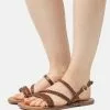 Anna Field LEATHER - Riemensandalette - Brown 1 Anna Field LEATHER - Riemensandalette - Brown -Anna Field Geschäft 414a7efd2ca54efaa07a93dfab3eec76