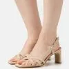 Anna Field LEATHER - Riemensandalette - Beige -Anna Field Geschäft 83b9e839c1454bdaa00fb8ed5941f525